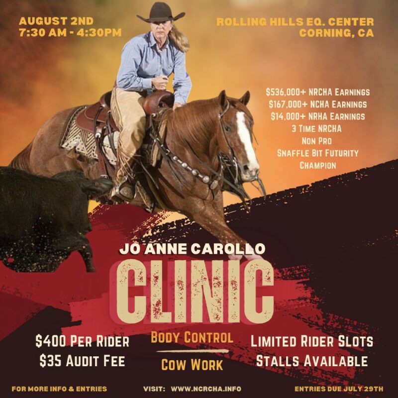 Carollo cow clinic